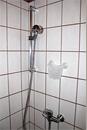 IMG0509kl